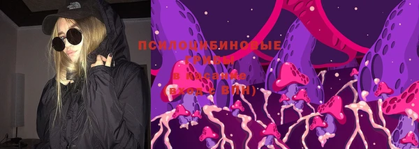 эйфоретик Саяногорск