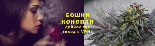 молекула духа Сафоново