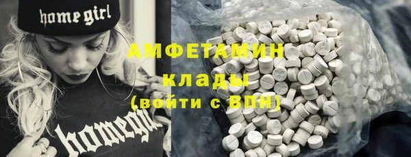 молекула духа Сафоново